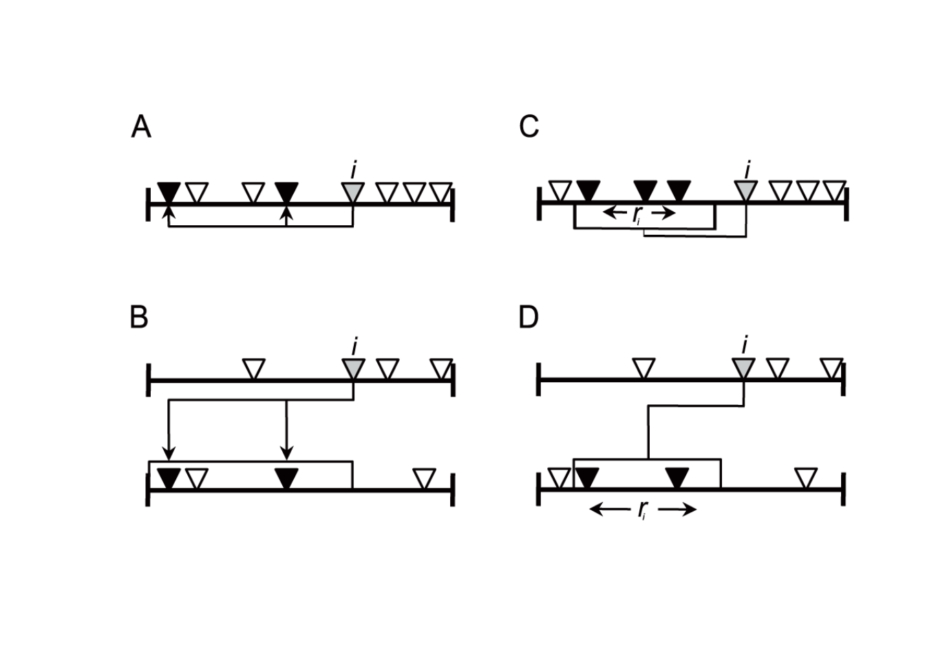 Graphical representation of the models. The cascade model is illustrated in the left column and the niche model in the right column. The top row illustrates the models for a food web. The bottom row illustrates the models for a mutualistic network. This figure is reproduced from Pires et al. 2011.